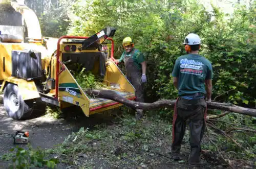 tree services Hometown